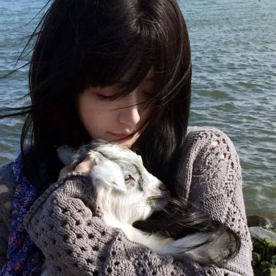 猫眼
