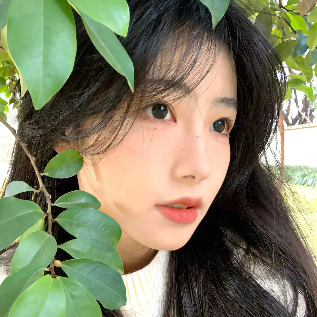 梨花劫粤语