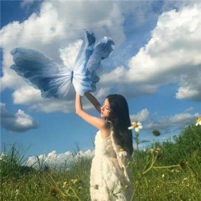 空中怪客